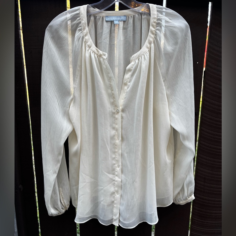 Elegant Cream Sheer Blouse